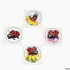 ladybug birthday